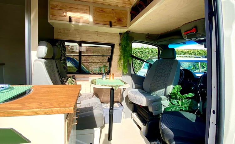 Home is where we park it! – Cool, fresh, self-sufficient 4 person bus camper.