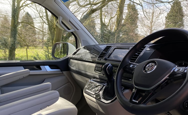 Bertie – Trek de aandacht met de originele VW Cali!! 2019