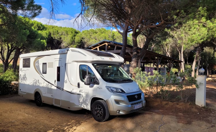 Collector Deluxe – 4p Fiat semi-integrated from 2020