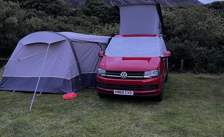 Milo – VW California Beach