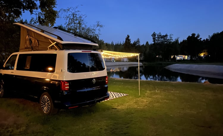 4 person Volkswagen T6 camper from 2023