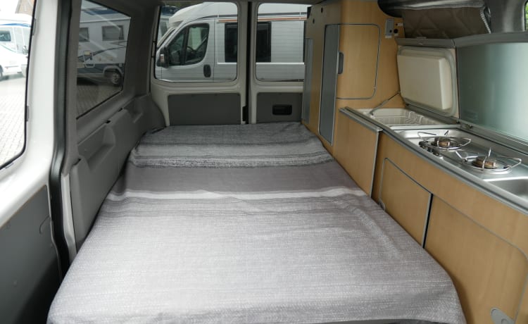 VW T5 GP California High roof