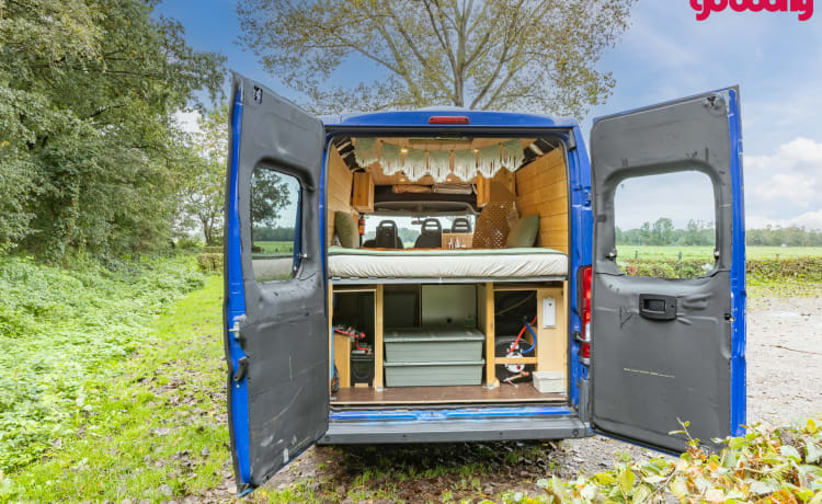 Ollie – Comfortable, attractive 2 person bus camper