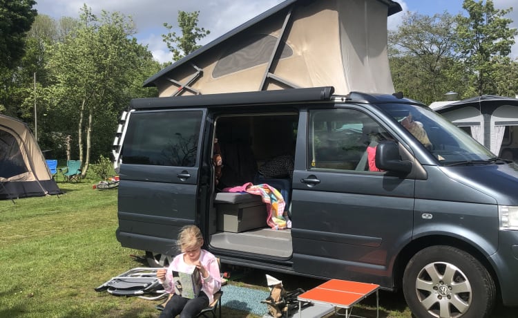 California  – Camping-car Volkswagen Bus 4p, notre camping-car de rêve