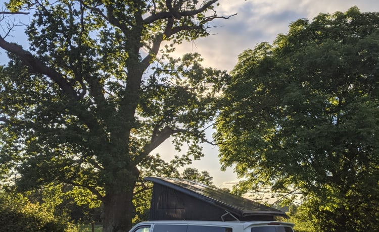 Rosie – VW T5 Extra-long - Free wine, milk & bread.