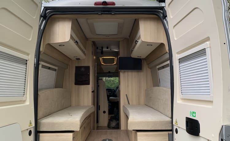 Dreamer – Fiat-bus met 5 slaapplaatsen uit 2019