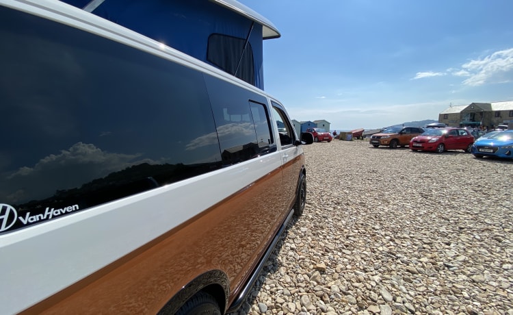 Camper per famiglie VW T6.1 vicino ai confini di Somerset, Devon e Dorset