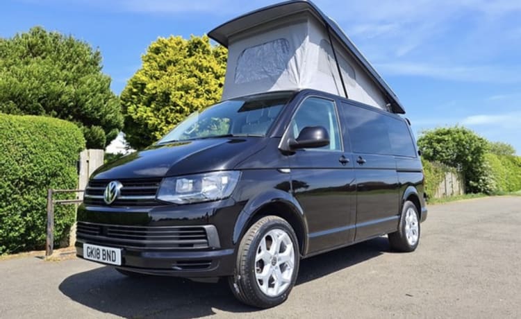 Luna – Schöner Volkswagen Transporter mit 4 Schlafplätzen