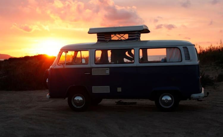 Brutus – Volkswagen Bus Brutus