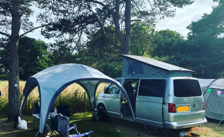 Volkswagen T6-camper met 4 slaapplaatsen