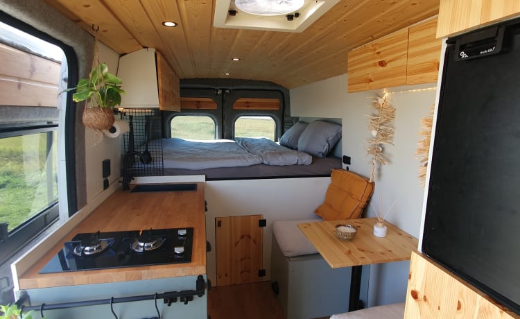 Super atmospheric & adventurous off-grid road trip camper!