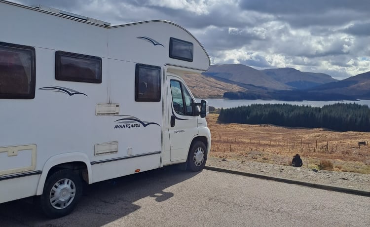 Panoramic – Gorgeous 2/3/4 Berth motorhome