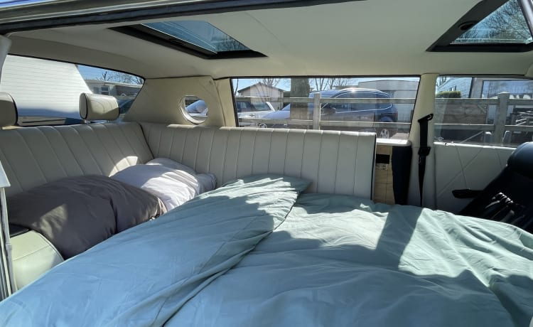 Extreem stijlvolle LIMOUSINE camper