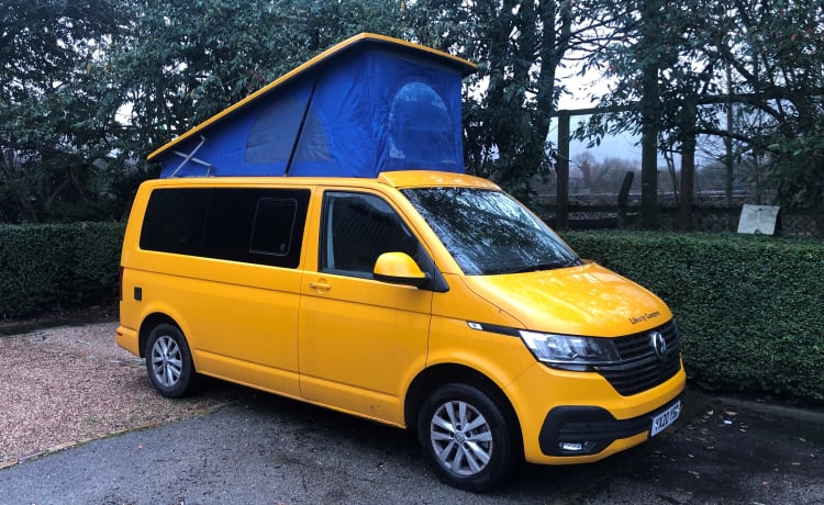 Horizon – 2020 VW T6.1 Campervan 4 slaapplaatsen