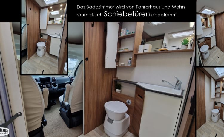 der U – (T) Floor plan with rear seating group: Pilote P696 U Evidence