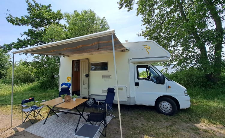 Cas – Familie camper met stapelbed