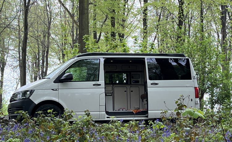 Tour Bus – 4 berth Volkswagen campervan from 2017