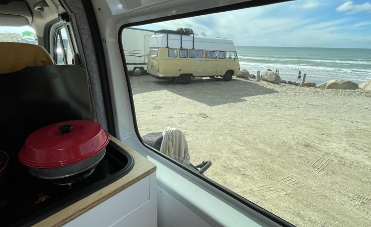 Vanneke – Veelzijdige camperbus met groot bed