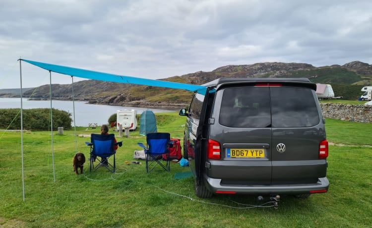 Nelly – 4 berth 2017 VW T6 Camper