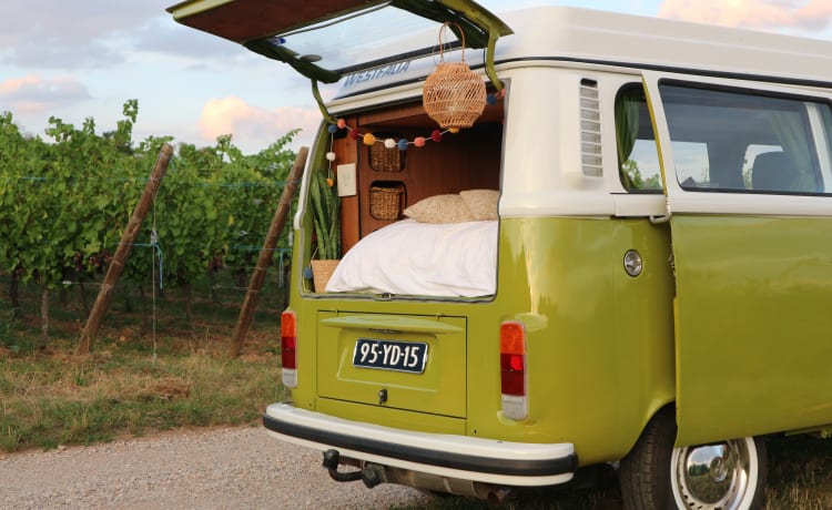 Sanseveria – Volkswagen T2b Westfalia Berlin '77