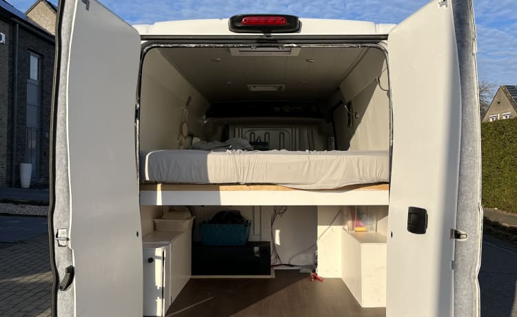 Fiat ducato bus camper for 2/3 people and possibility of extra baby bed