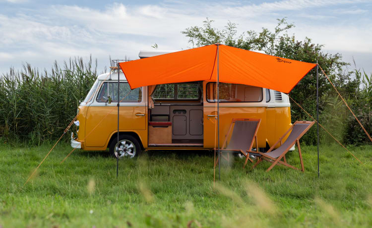 Betsy – VW T2 Bay-campervan 1979 met 4 slaapplaatsen