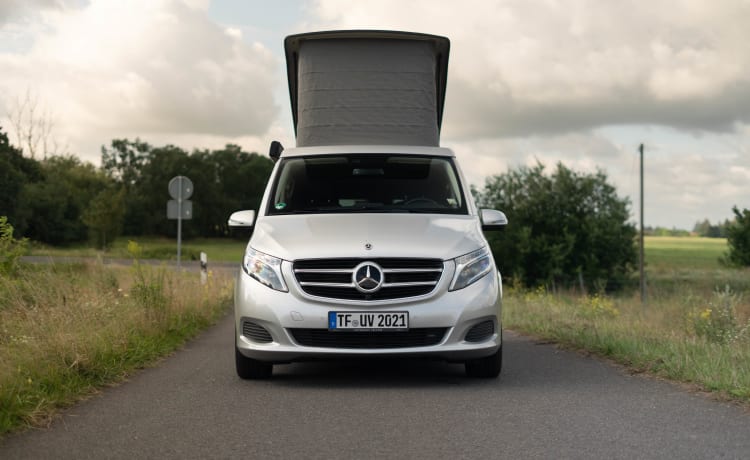 Marco Polo – Mercedes V220d Marco Polo met pop-up dak