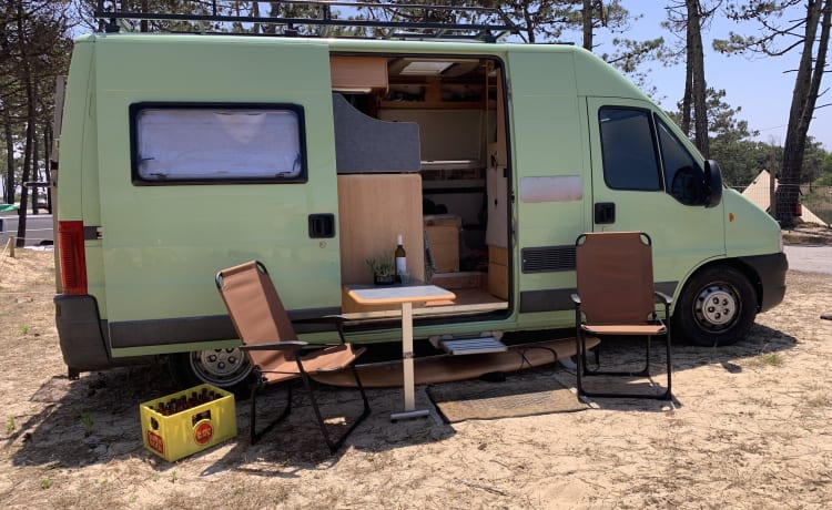 Minty – Minty; Cheerful 2p bus camper from 2004, suitable for off-grid and surfing!