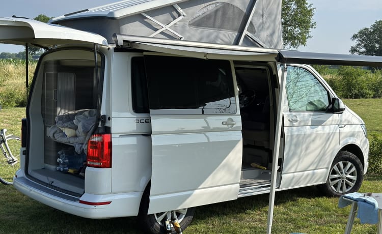 Cali  – Volkswagen California T6 (camper di fabbrica, originale)