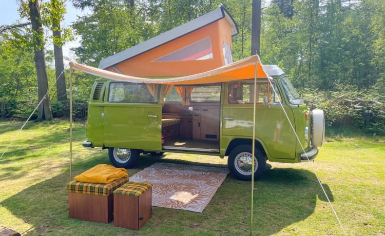 Putu – Volkswagen T2 von 1977, perfekter Zustand