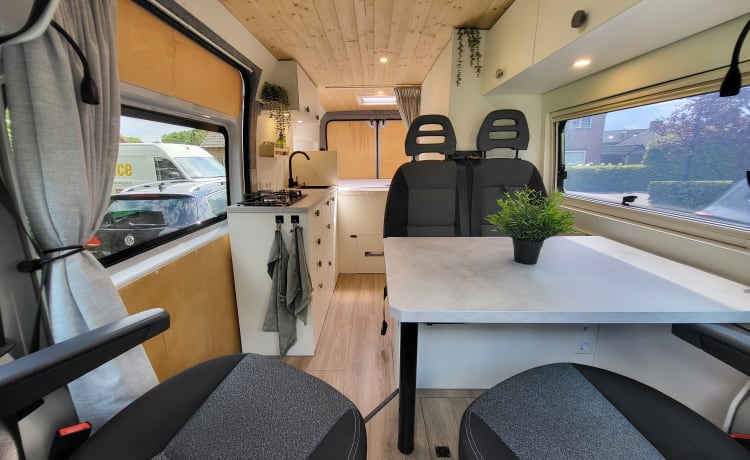 Pura Vida Van – 3-person bus camper built in 2023