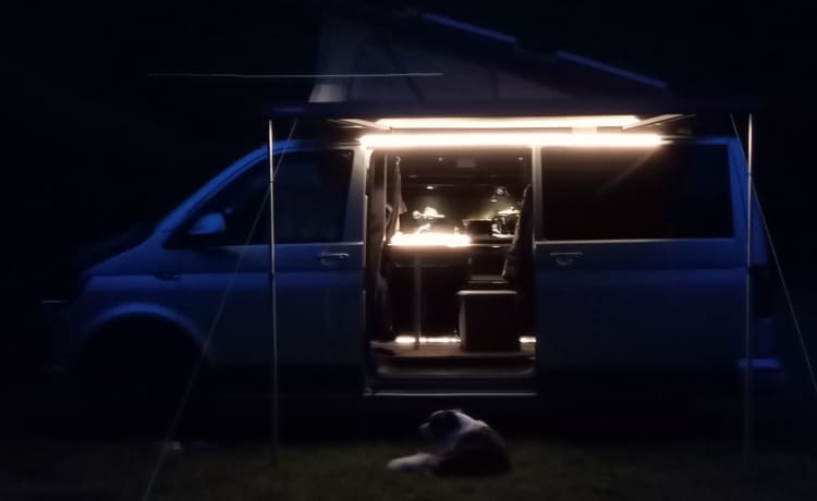 Jess The Wonder Bus – Volkswagen Wohnmobil mit 4 Schlafplätzen aus dem Jahr 2018
