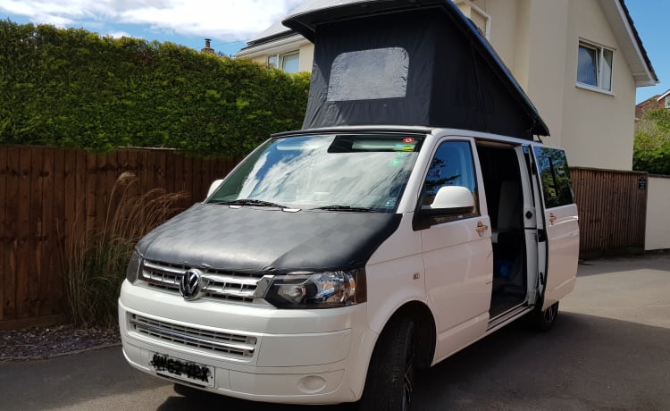 Elvis – VW T5 befindet sich in West Country