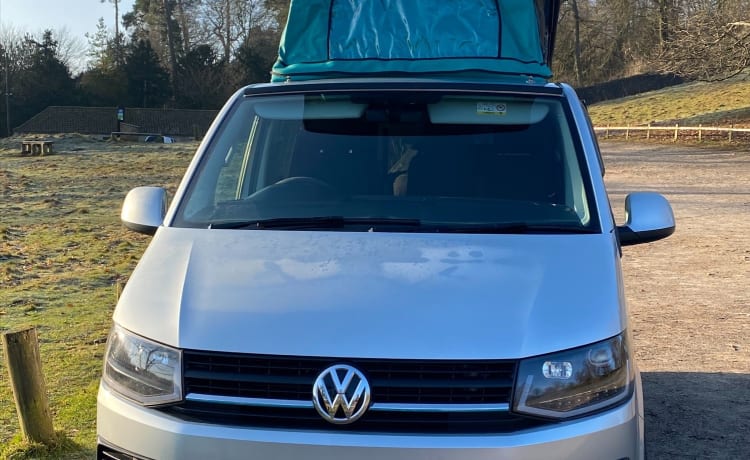 Indy – Indy - VW T6 Familiecamper - Airco, Verwarming