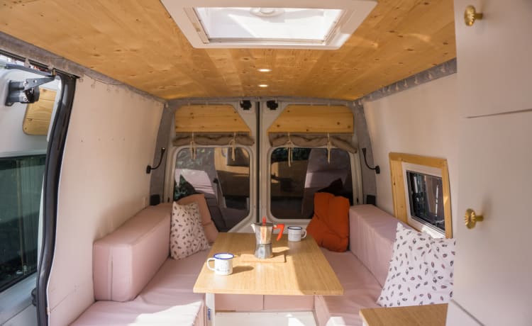 Vanneke – Veelzijdige camperbus met groot bed