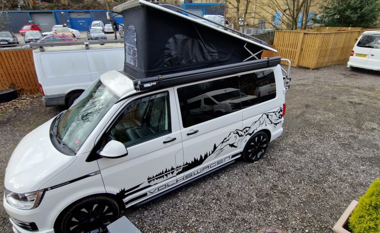 Star VW T6 – Starlight VW t6 Wohnmobil