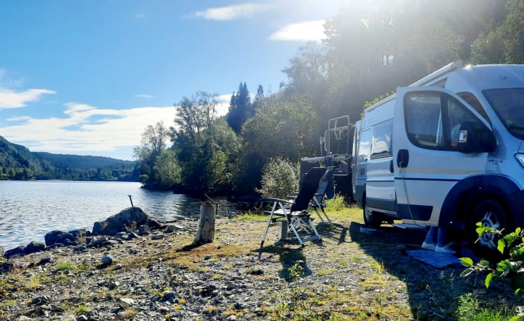 2 pag. camper bus con letti longitudinali (AmorA 2017)