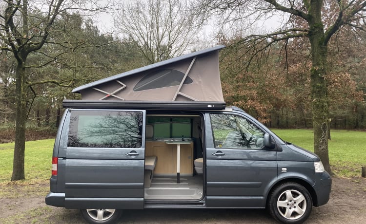 Stein – Volkswagen T5 California 4motion