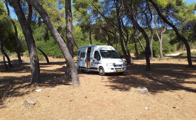 camping-car compact avec de nombreuses fonctionnalités