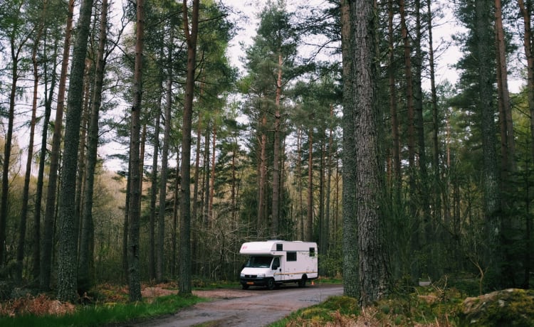 BAMBO WHEELS – Geräumiger schöner Familiencamper