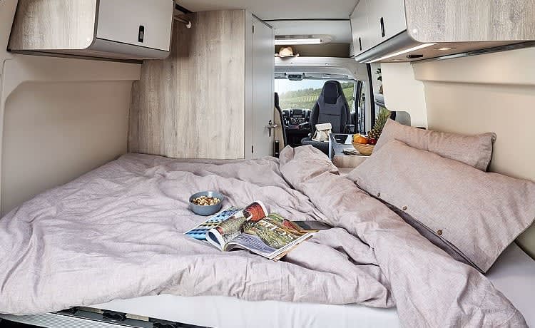 Westfalia Amundsen Camper mit Busbiker