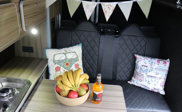 Bertha – 4 Berth Volkswagen Campervan, Including all Kitchen Equipment