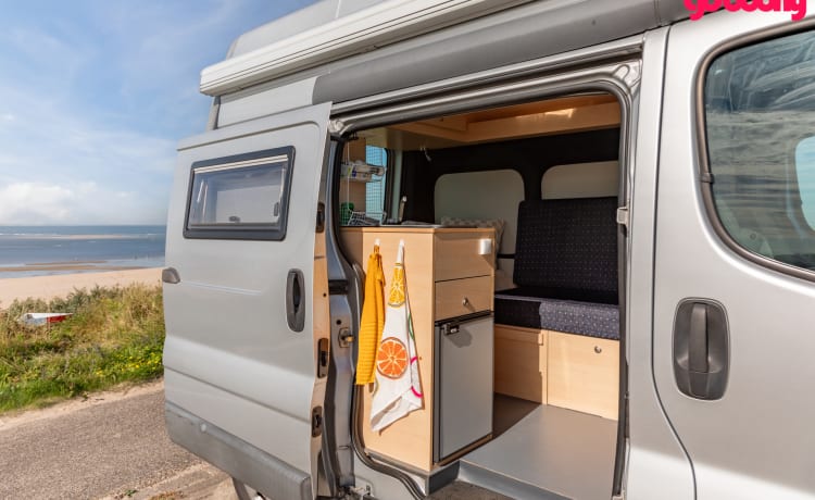 Bel camper compatto del 2010