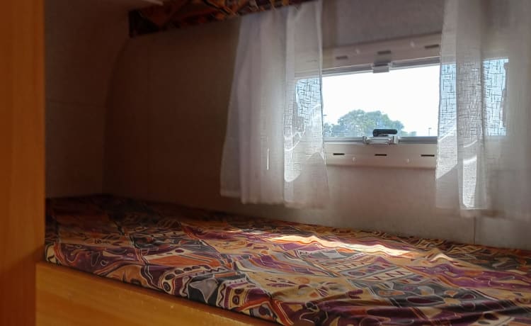 Elnagh Doral 105  (Bagus) – Rent a camper in Puglia with air conditioning