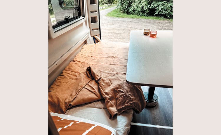 CLAY & GRACE - home away from home – sfeervolle 2-persoons Knaus buscamper uit 2019 met veel leefruimte