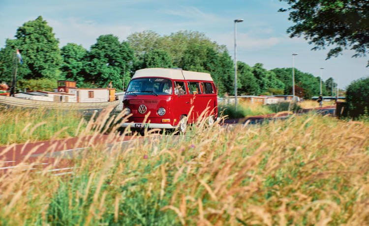 Ga op duurzame roadtrip met Mariquita! ⚡️🚐 – 100% Electric! ⚡️VW T2 "Mariquita"