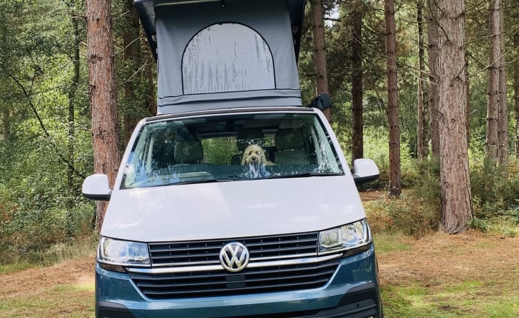 Boris – Camping-car de luxe 4 couchettes T6 VW avec toit ouvrant