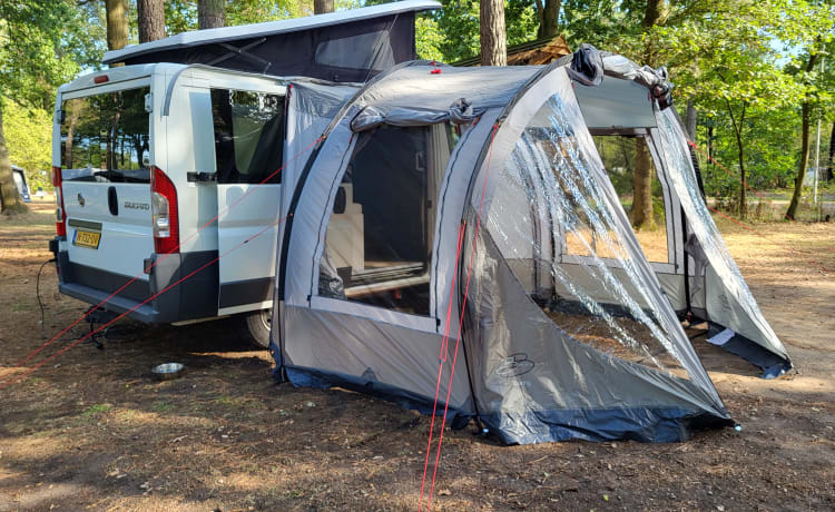 Q-bus – Camping-car compact et complet