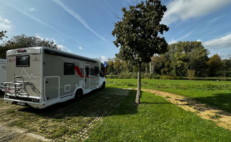 Magnifique Challenger Graphite Ultimate 380