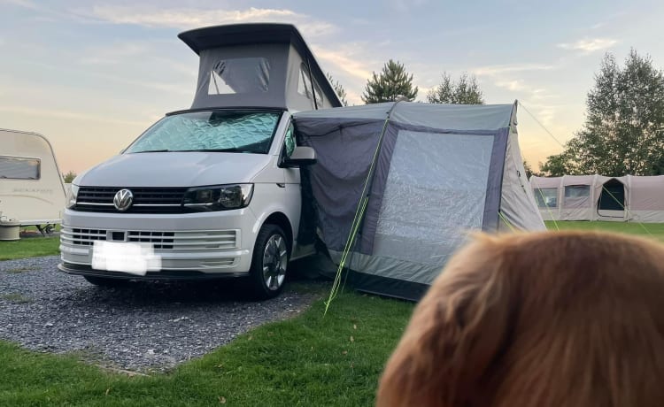 4 berth Volkswagen campervan from 2018